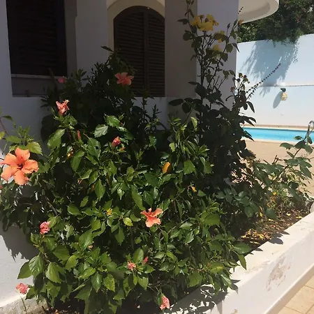 Casa Silva Σπίτι διακοπών *